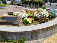 �C���[�W01